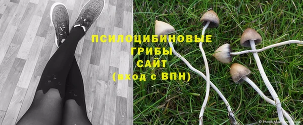 скорость Баксан