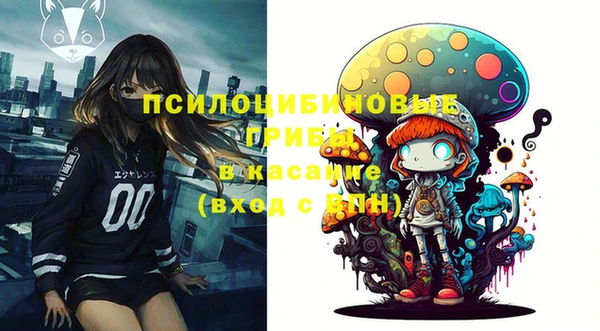 гашик Покачи
