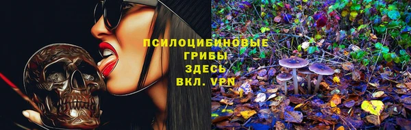 скорость Баксан